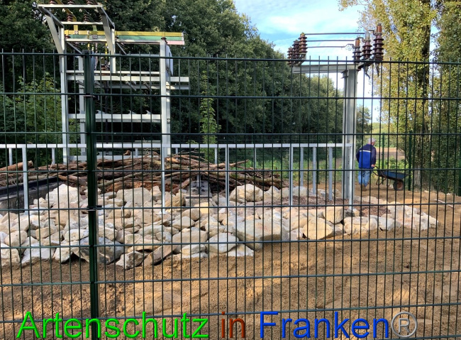 © Artenschutz in Franken® Bild zum Eintrag (1057508-160)