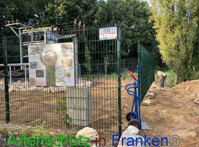 © Artenschutz in Franken® Bild zum Eintrag (1057510-160)