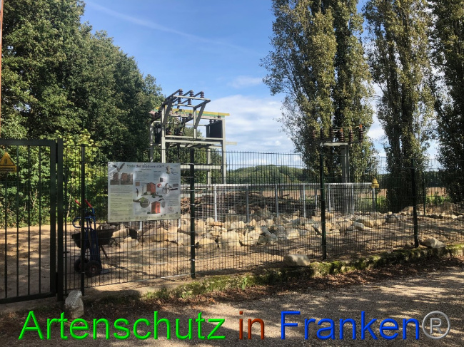 © Artenschutz in Franken® / Francken Bild zum Eintrag (1057532-160)