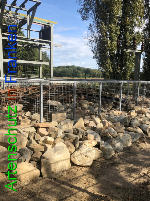 © Artenschutz in Franken® / Francken Bild zum Eintrag (1057536-160)