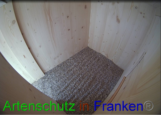 © Artenschutz in Franken® Bild zum Eintrag (1057594-160)