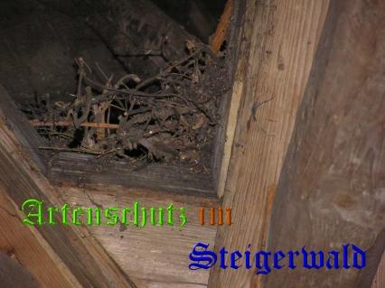Copyright AiS / G. Kunze Bild zum Eintrag (1057645-160)