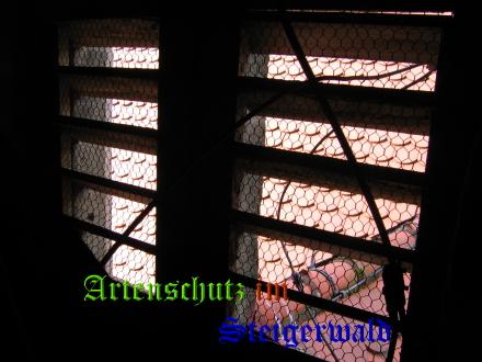 Copyright AiS / 2008 Bild zum Eintrag (1057647-160)