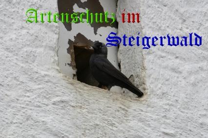 Copyright AiS / Wolfgang Willner Bild zum Eintrag (1057649-160)