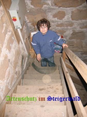 Copyright AiS / 2008 Köhler Bild zum Eintrag (1057651-160)
