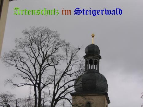 Copyright AiS / 2008 Köhler Bild zum Eintrag (1057654-160)