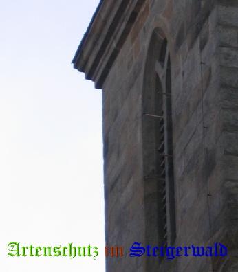 Copyright AiS / 2008 Bild zum Eintrag (1057657-160)