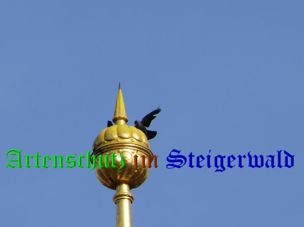 Bild zum Eintrag (1057661-160)