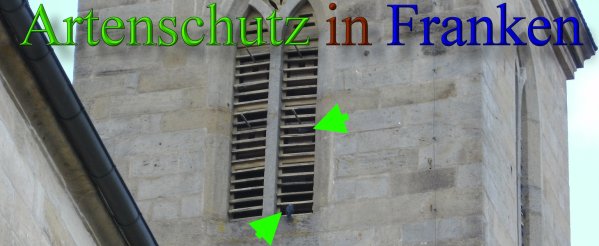 Copyright AiS Stingl Bild zum Eintrag (1057670-160)