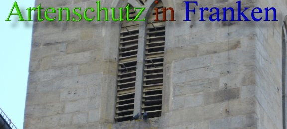Copyright AiS Stingl Bild zum Eintrag (1057671-160)