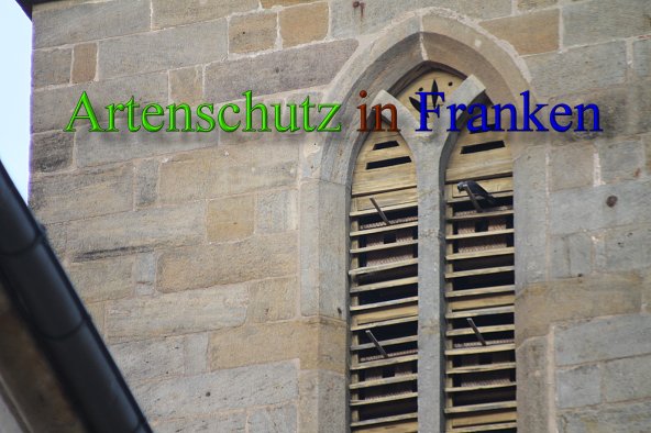 Copyright AiS Stingl Bild zum Eintrag (1057673-160)