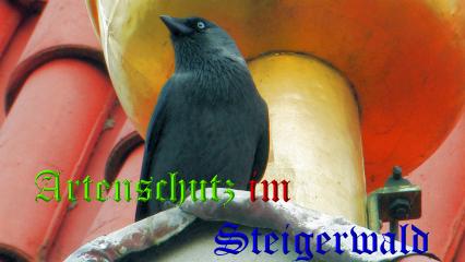 Copyright AiS / Wolfgang Willner Bild zum Eintrag (1057688-160)