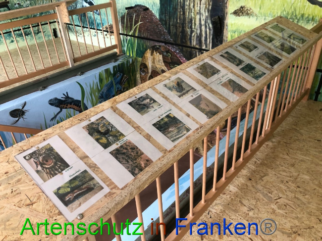 © Artenschutz in Franken® / Gemeinde Weeze Bild zum Eintrag (1057832-160)