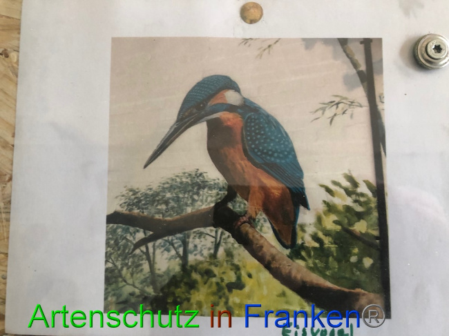 © Artenschutz in Franken® / Gemeinde Weeze Bild zum Eintrag (1057833-160)
