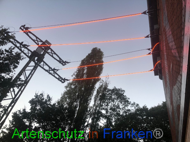 © Artenschutz in Franken® / Gemeinde Weeze Bild zum Eintrag (1057838-160)