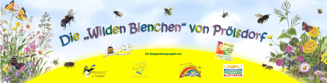 © Artenschutz in Franken® Bild zum Eintrag (1057879-160)