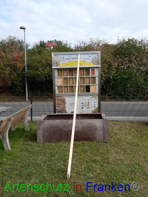 © Artenschutz in Franken® Bild zum Eintrag (1057882-160)