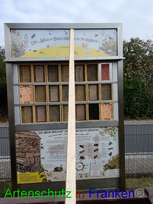 © Artenschutz in Franken® Bild zum Eintrag (1057883-160)