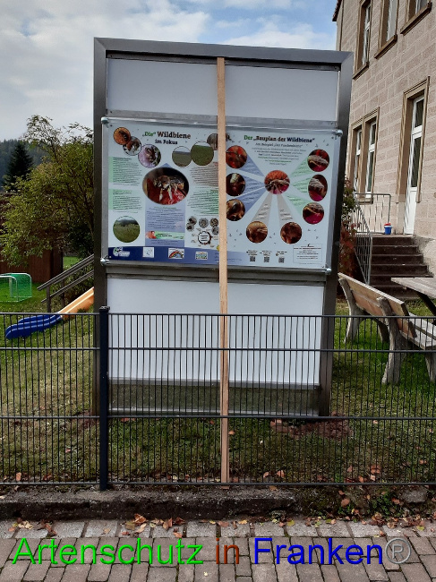 © Artenschutz in Franken® Bild zum Eintrag (1057887-160)