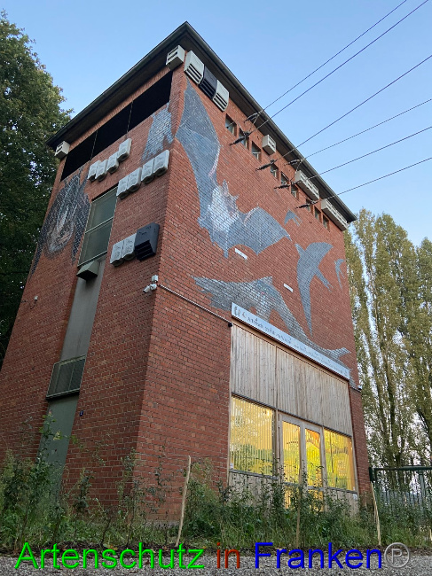 Bild zum Eintrag (1057913-160)