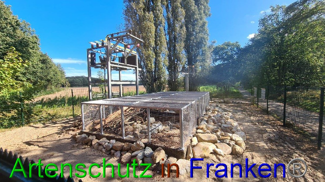 © Artenschutz in Franken® / Sonfeld Bild zum Eintrag (1057930-160)