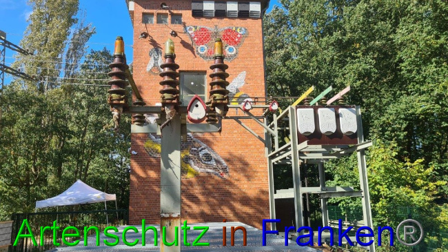 © Artenschutz in Franken® / Sonfeld Bild zum Eintrag (1057932-160)