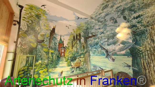 © Artenschutz in Franken® / Sonfeld Bild zum Eintrag (1057934-160)