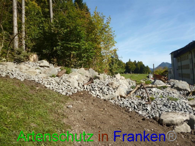 © Artenschutz in Franken® / Müller Bild zum Eintrag (1058134-160)