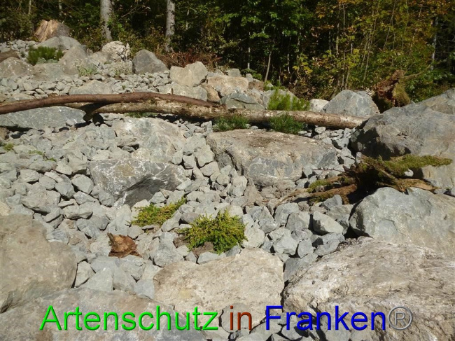 Bild zum Eintrag (1058141-160)