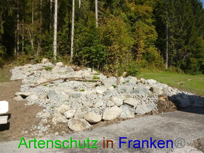 Bild zum Eintrag (1058142-160)