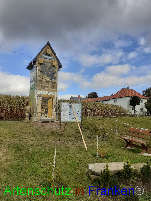 Bild zum Eintrag (1058278-160)