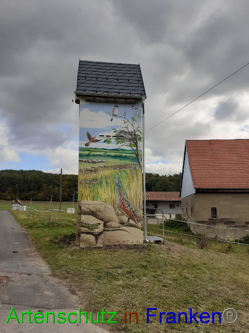 © Artenschutz in Franken® Bild zum Eintrag (1058281-160)
