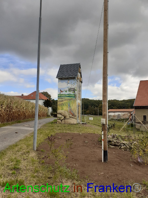 © Artenschutz in Franken® Bild zum Eintrag (1058282-160)