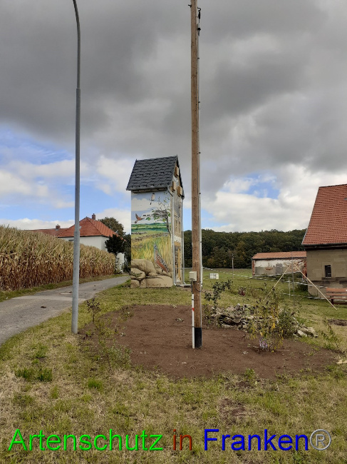 © Artenschutz in Franken® Bild zum Eintrag (1058283-160)