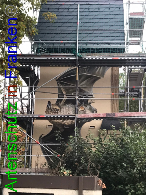 © Artenschutz in Franken® Bild zum Eintrag (1058300-160)