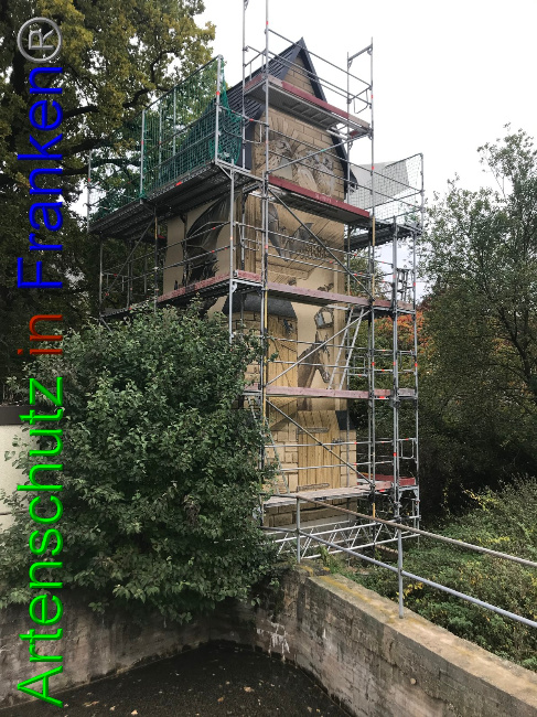 © Artenschutz in Franken® Bild zum Eintrag (1058301-160)