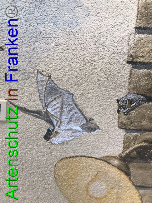 © Artenschutz in Franken® Bild zum Eintrag (1058304-160)
