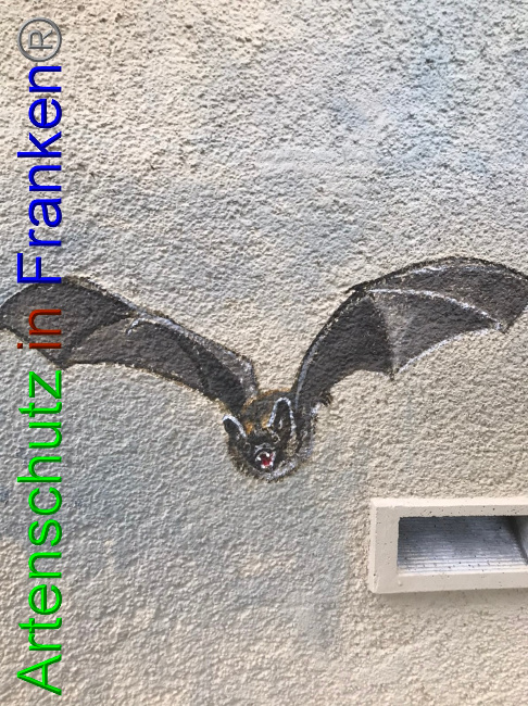 © Artenschutz in Franken® Bild zum Eintrag (1058305-160)
