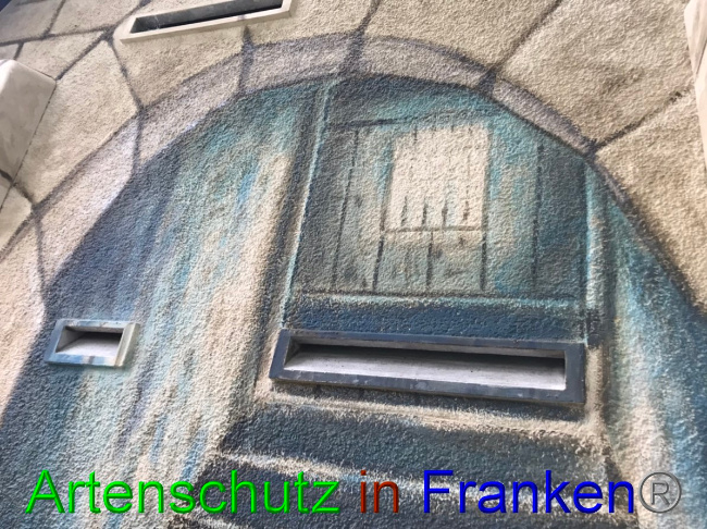 © Artenschutz in Franken® Bild zum Eintrag (1058307-160)