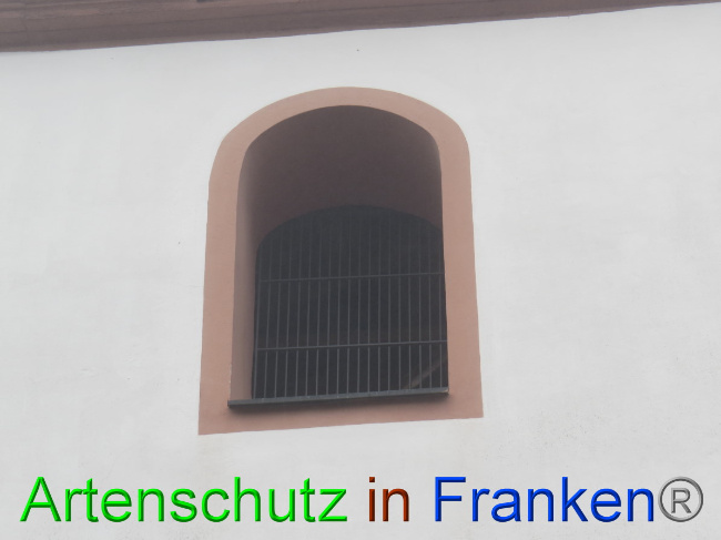 Bild zum Eintrag (1058395-160)