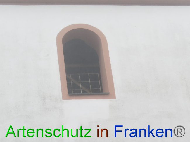 Bild zum Eintrag (1058396-160)