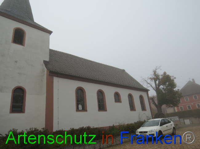© Artenschutz in Franken® Bild zum Eintrag (1058398-160)
