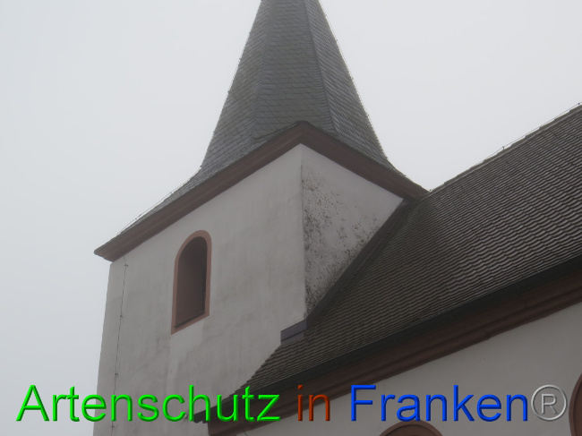 © Artenschutz in Franken® Bild zum Eintrag (1058400-160)