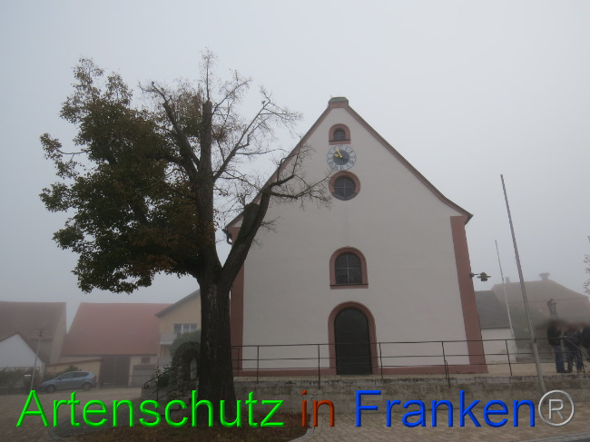 © Artenschutz in Franken® Bild zum Eintrag (1058401-160)
