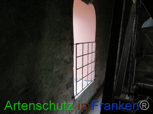 © Artenschutz in Franken® Bild zum Eintrag (1058405-160)