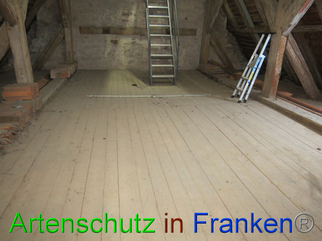 © Artenschutz in Franken® Bild zum Eintrag (1058408-160)