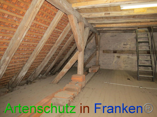 © Artenschutz in Franken® Bild zum Eintrag (1058409-160)