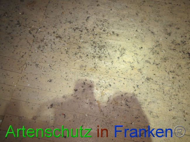 Bild zum Eintrag (1058413-160)