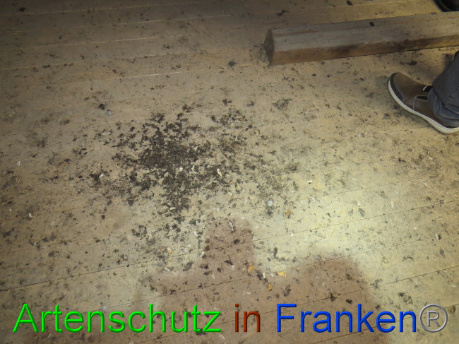Bild zum Eintrag (1058414-160)