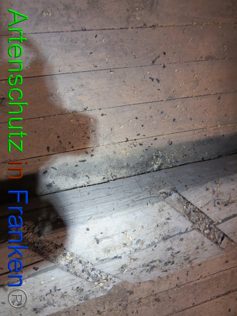 Bild zum Eintrag (1058415-160)